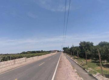 Terreno / Lote , Islay · ¡Terreno Para Casa de Campo en Venta – La Joya!