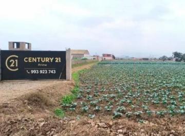 Terreno / Lote · 29881m² · Vendo Terreno en Moche - Trujillo