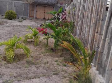 Terreno / Lote · 475m² · Vendo Terreno de Playa en Av Panamericana Norte Km 1231, Fila 1, Playa Bocaplan, Zorritos