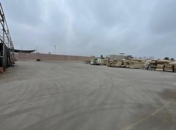 Local comercial · 4000m² · Alquilo Almacen o Terreno en Lurin