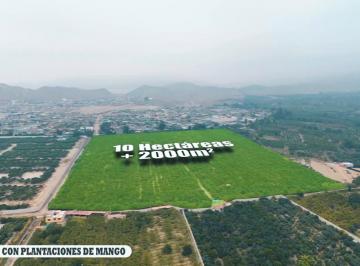 Terreno agrícola , Huaral · Venta Terreno 10.2 Ha en Huaral