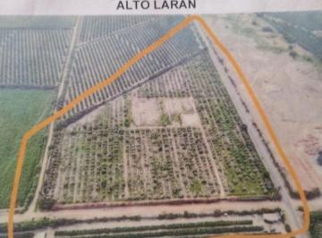 Terreno / Lote , Chincha · Venta de Terreno Alto Laran Chincha