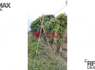 Terreno / Lote · 20m² · Terreno Agrícola en Venta en Puerto Supe de 6,576 m² con Cultivo de Maracuyá en Producción