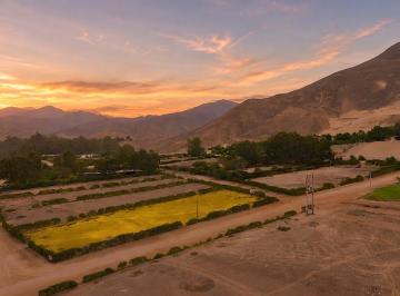 Terreno / Lote · 2611m² · Terreno - Pachacamac