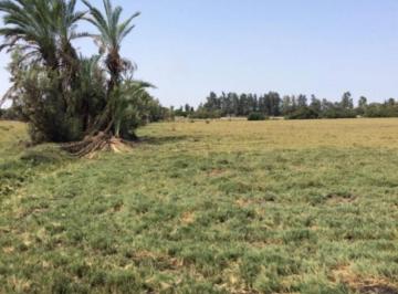 Terreno / Lote · 19980m² · Se Vende Terreno en San Andres Entre La Antigua y Nueva Panamericana Provincia de Pisco