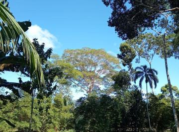 Terreno / Lote · 1000m² · Terreno en Venta en Puerto Maldonado