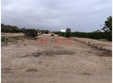 Terreno / Lote , Cañete · Terreno en Venta de 250 m² en Condominio Alto Pradera, Asia