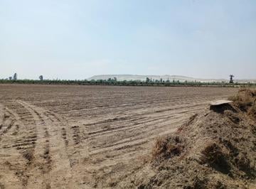 Terreno / Lote , Pisco · Venta de Terreno en Playa Caucato Pisco 120 m² S/ 1