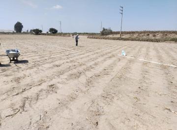 Terreno / Lote , Pisco · Venta de Terreno en Playa Caucato Pisco 120 m² S/ 29,000 Al Contado