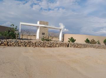 Terreno / Lote · 120ha · 2 Dormitorios · Oportunidad de Inversión | 10 Ha con Acceso Para Transporte Pesado en Chincha