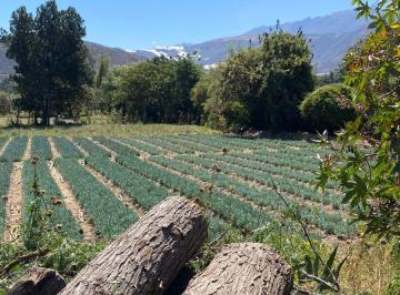 Terreno / Lote , Huaylas · Venta de Terreno en Llacta – Caraz