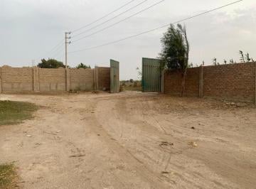 Terreno / Lote , Huaura · Terreno de 12.96 Ha en Venta en Végueta | Ideal Para Desarrollo Inmobiliario y Agrícola