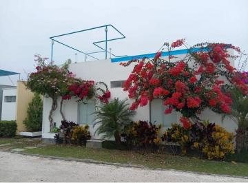 Casa de playa de 4 habitaciones, Cañete · Vendo Casa en Playa Palabritas - Asia
