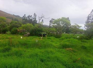 Terreno / Lote , Cajamarca · Buen Precio - Oferta - Terreno en Llanacora - Cajamarca