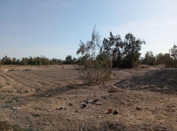 Terreno agrícola , Huaura · Ocasión - Vendo 550 Ha en Huacho - $ Us 3,300,000