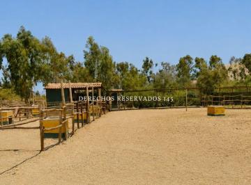 Terreno / Lote , Cañete · Predio Campestre de 20,000 m² Ubicado en Quilmaná, Cañete