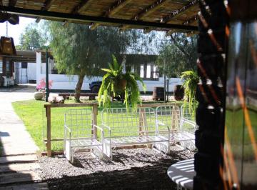 Nave industrial de 3 habitaciones, Ica · Vendo Casa Hacienda en Ica con Bodega y Destileriaa En. Funcionamiento con Marca Pisco Reconocida
