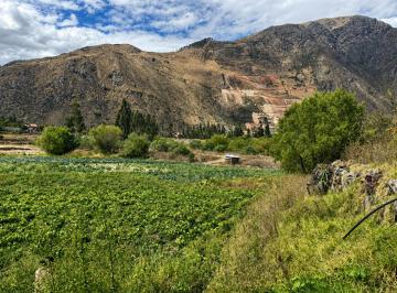 Terreno / Lote , Calca · ¡Haz Realidad Tu Próxima Gran Inversión en El Valle Sagrado de Los Incas!
