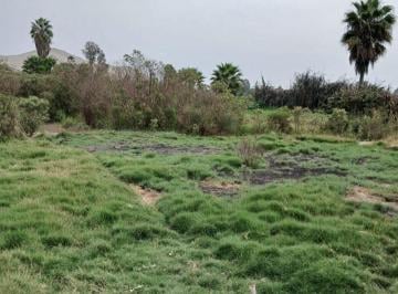 Terreno / Lote , Huaral · Venta de Terreno Aucallama Sector Los Dramadales 3 (Huaral)