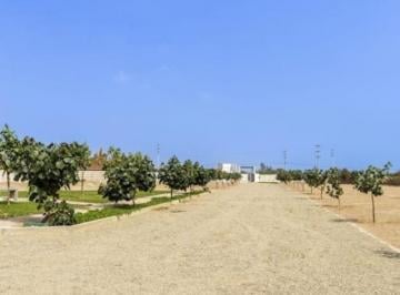 Terreno / Lote , Chincha · Tu Casa de Campo 258 m² a Pie de Pista - Chincha - Acceso Directo - Título de Propiedad.