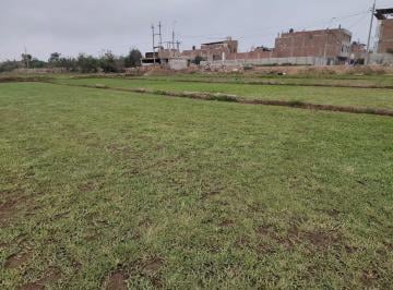Terreno / Lote , Lima · Excelente Terreno Lurin 8689 m² – Zona B – Ex - Fundo Huarangal Av Olivo