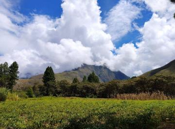 Terreno / Lote , Oxapampa · Venta de Terreno en Huancabamba, Oxapampa