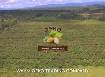 Terreno agrícola de 10 habitaciones, Tocache · Oportunidad de Inversión – Terreno Productivo de Cacao en Santa Lucía, Perú