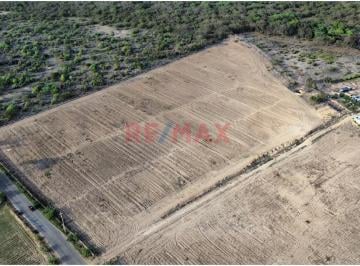 Terreno / Lote · 17600m² · Terreno en Venta en La Viña 17,360 m² – Jayanca (Q. Rojas)