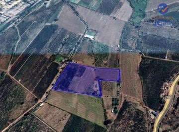 Terreno agrícola · 20145m² · ¡Oportunidad Única! Terreno Agrícola en Venta con Producción de Pisco en El Valle de Azpitia