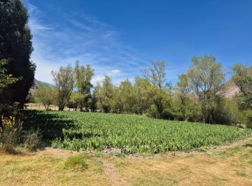 Terreno / Lote · 5000m² · Vendo Hermoso Terreno con Playa de Rio en El Centro del Valle Sagrado de Los Incas, Urubamba, Cusco