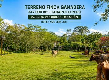 Terreno / Lote , San Martin · Vendo Terreno en Tarapoto Peru 34.7 Ha Finca Ganadera