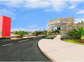 Terreno / Lote , Cañete · Vendo Estratégico Terreno de 90 m² con Clima Cálido: Inversión Segura