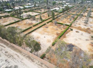 Terreno / Lote · 1414m² · Terreno de Campo en Condominio El Olivar