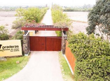 Terreno / Lote · 2231m² · Venta de Terreno Mala Cañete Campo 2,231 m² Condominio Praderas San Andres Km 75.5 Pan. Sur