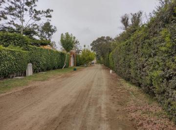 Terreno / Lote · 2900m² · Venta de Terreno en Mala Cañete Condominio Praderas Km 75.5 Santa Cruz de Flores