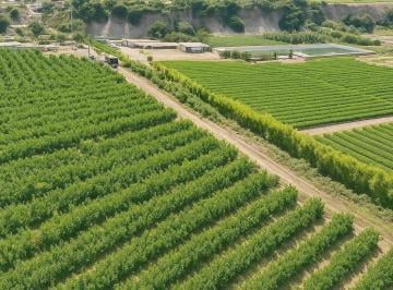 Terreno agrícola · 37ha · Se Vende Fundo en Pisco