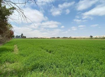 Terreno agrícola · 26ha · Venta de Terreno Agrícola en Pisco