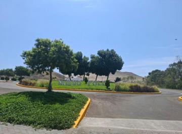Terreno / Lote · 134m² · Se Vende de Terreno Nuevo Polo Cañete