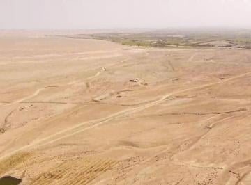 Terreno agrícola · 1ha · Se Vende Terreno Agricola en Chincha Baja