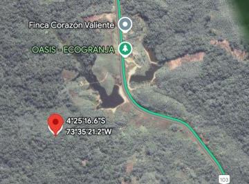 Terreno / Lote , Loreto · Terreno de 6.1 Hectáreas en Venta – Frente a La Carretera Iquitos–nauta Km 82