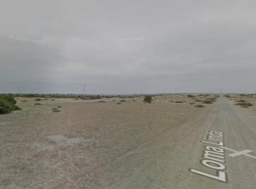 Terreno / Lote · 10000m² · Terreno en Venta de 10,000 m² Ejidos del Norte a Pocos Minutos del Real Plaza