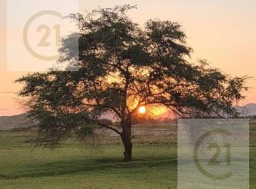Terreno / Lote · 131250m² · Terreno Para Proyecto en Venta - Casma