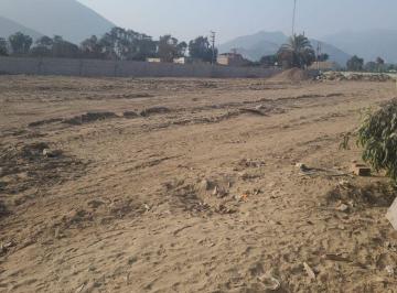 Terreno / Lote , Lima · Pachacamac: Venta de Terreno Cercado