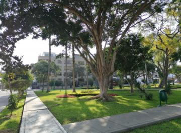 Departamento · 137m² · 3 Dormitorios · 1 Estacionamiento · Acogedor Dúplex Frente a Parque Urb. Higuereta