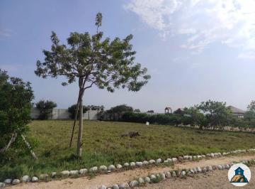 Terreno / Lote , Cañete · Terreno 415 m² en Condominio + 404 m² de Uso Exclusivo | Bujama Km 88.5