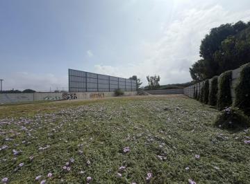 Terreno / Lote · 10000m² · Alquiler de Terreno Industrial Lurín