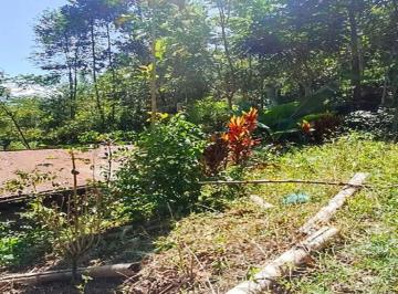 Terreno / Lote , Chanchamayo · Vendo Terreno Rústico de 2.54 Ha San Ramón - Chanchamayo