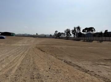 Terreno / Lote · 10000m² · Oportunidad Terreno Industrial Eucaliptos - Lurin