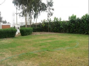 Terreno / Lote · 1004m² · Vendo Amplio Terreno en Calle Paso Chico N X, Urb. Paso Chico, Lurín
