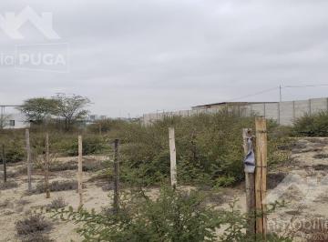 Terreno / Lote · 1000m² · Terreno en Venta Urbanizado en Piura